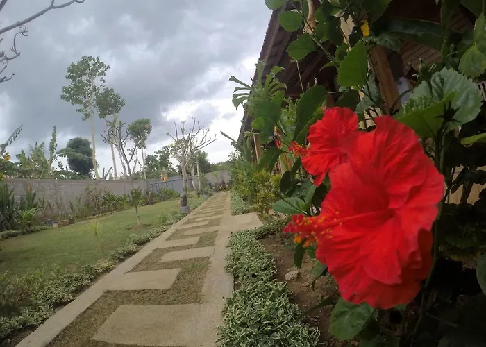Guest house Imeme