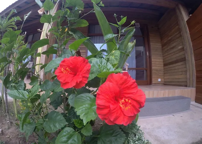 Imeme Guest house Nusa Lembongan (Bali)